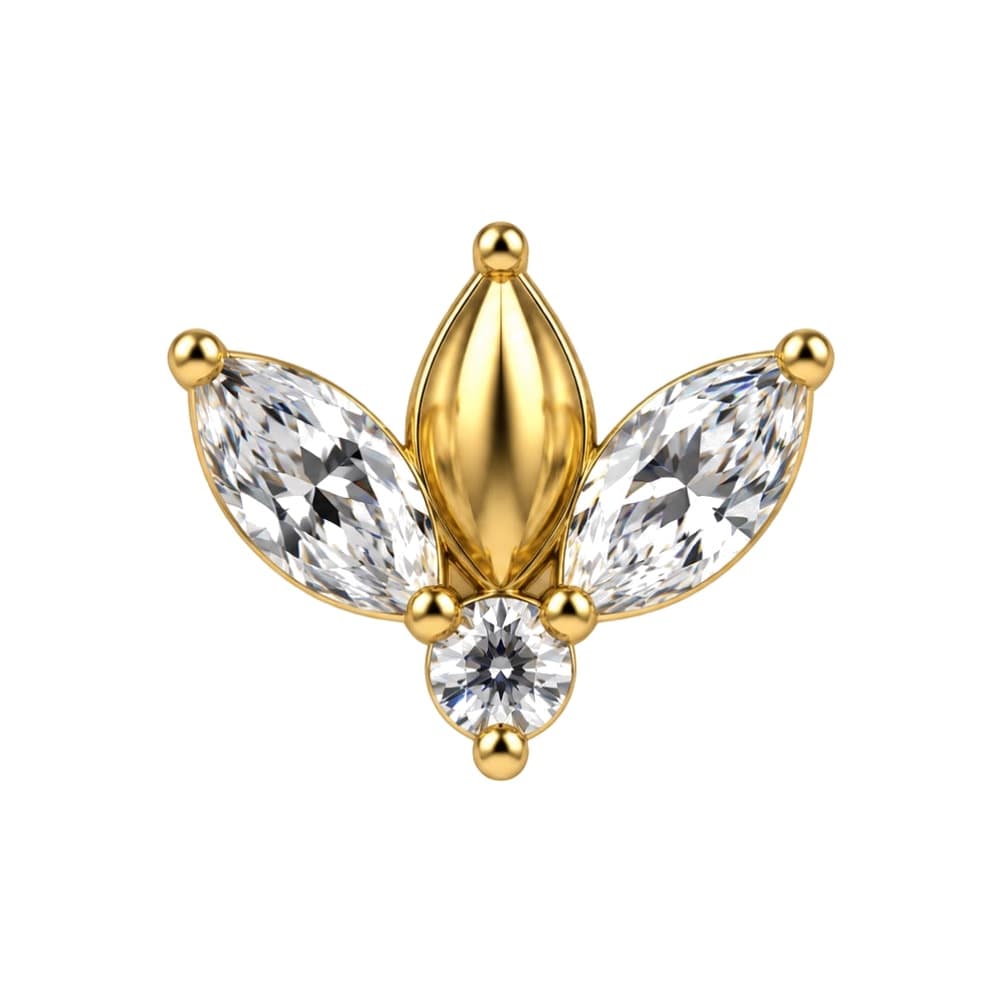 Loto liscio in titanio PVD Gold